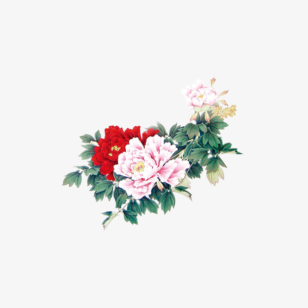 牡丹花 中国风 花朵免抠