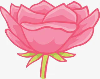 盛开的玫瑰花免抠