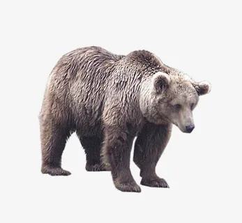 趴下的小狗熊免抠