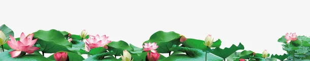 绿色清新荷花装饰图案免抠