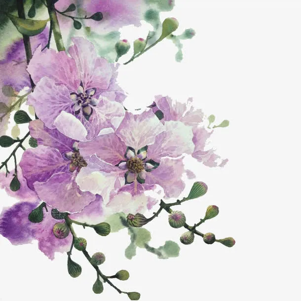 鲜花一束免抠