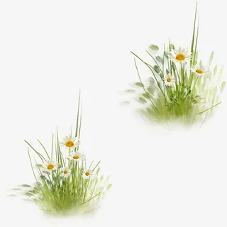 草地草坪绿草免抠装饰植物元素