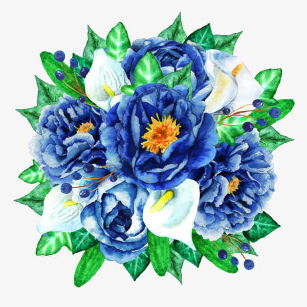 马蹄莲鲜花免抠