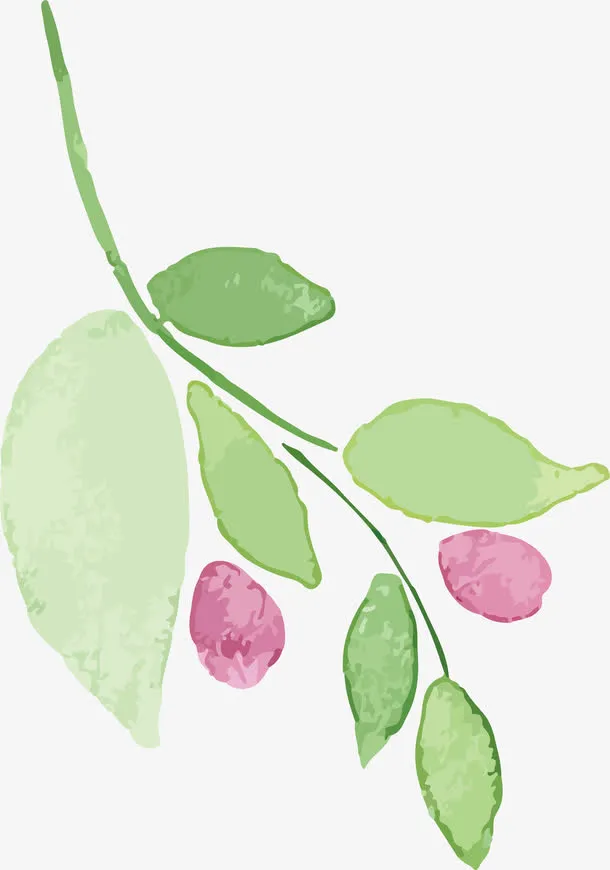 植物枝条PNG下载免抠