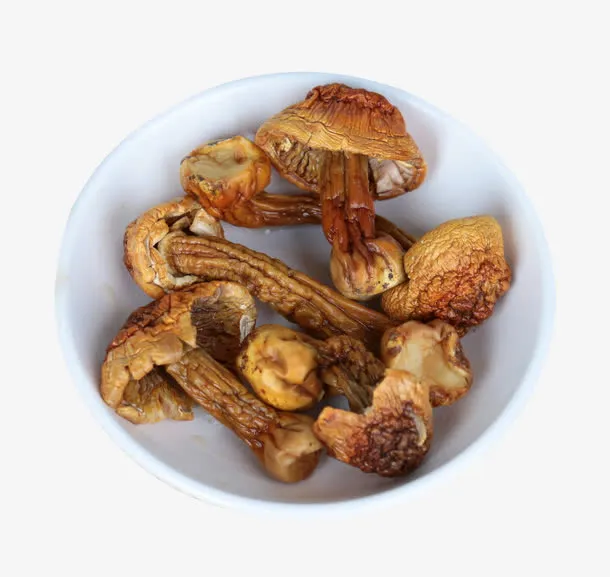 高原姬松茸免抠