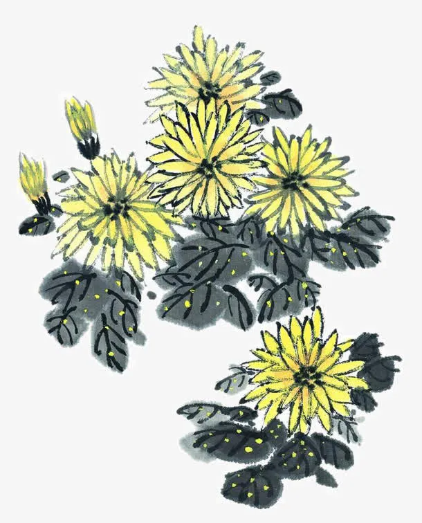 水墨菊花免抠