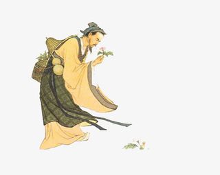 采摘药草的华佗免抠