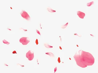 唯美粉红色花瓣飘落免抠