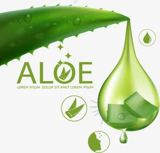 芦荟护肤品广告元素免抠