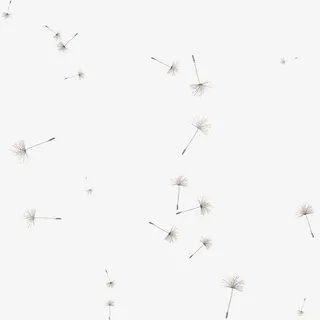 漂浮的蒲公英免抠