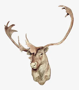 手绘麋鹿文艺风图片免抠