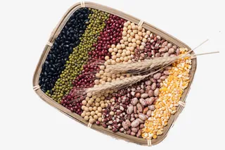 五谷杂粮谷物素材免抠