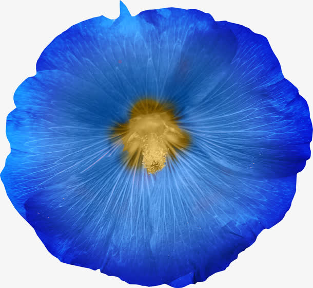 蓝色鲜花免抠
