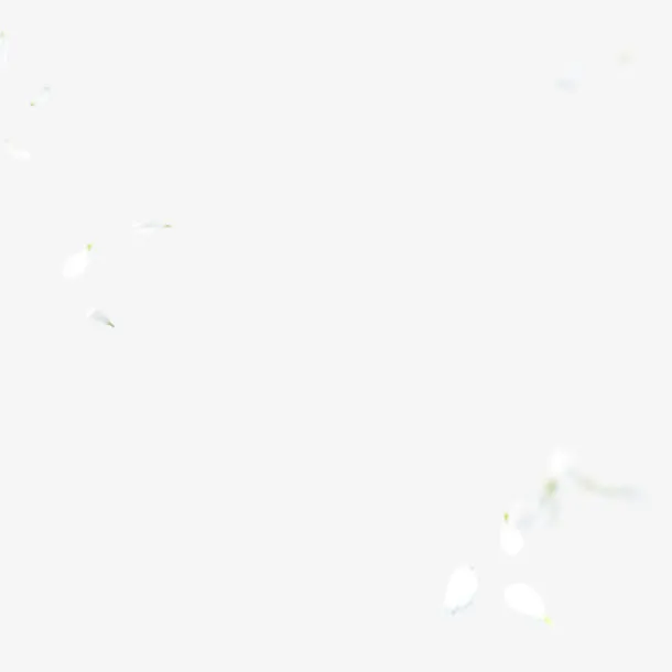 白色花瓣飘落状素材免抠