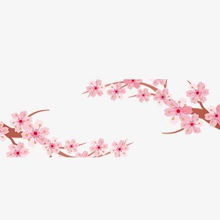 粉色  花朵  桃花  樱花  花瓣免抠