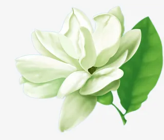 现代元素图片现代元素模板免抠