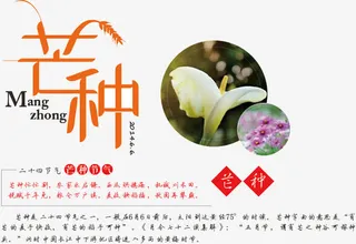 二十四节气设计宣传图免抠