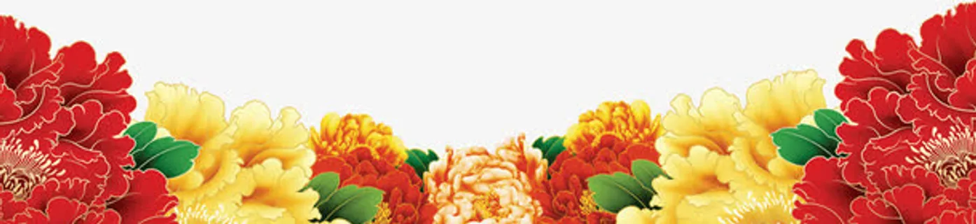 牡丹花边框免抠