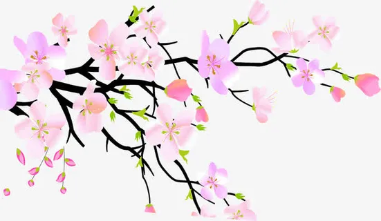 浅粉水墨画梅花七夕免抠