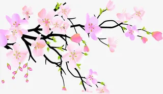 浅粉水墨画梅花七夕免抠