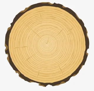 树的年轮图形免抠