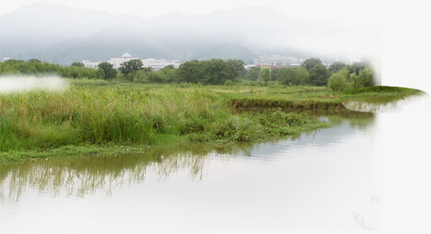 野外江边草地景观免抠