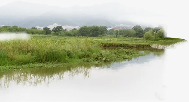 野外江边草地景观免抠