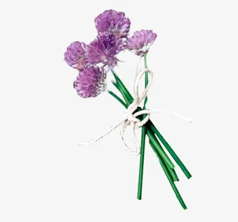 五朵紫色小花免抠