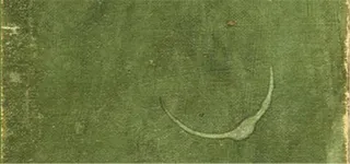 绿色质感背景高清