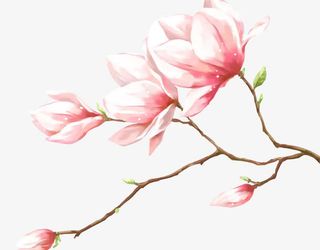 阳春三月桃花待放免抠