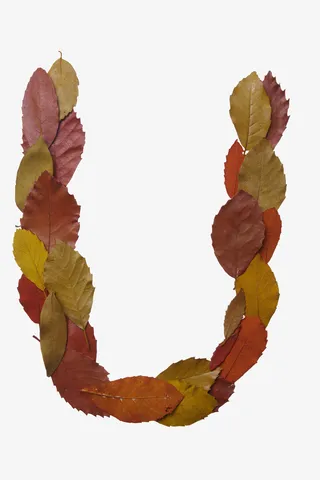 红色叶子字母形状免抠素材免抠