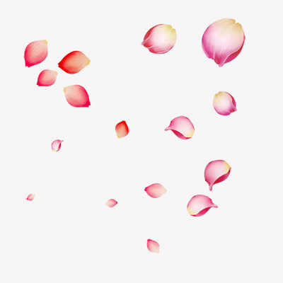 漂浮花瓣花瓣飘落免抠