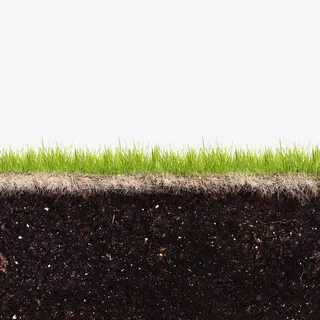 绿色草皮横剖面免抠