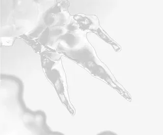 冬季植物上的积雪免抠