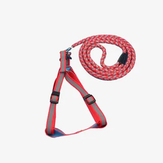 狗链子素材免抠