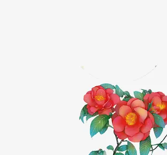 盛开杜鹃花免抠