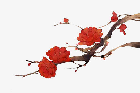 红色花朵花枝中国风免抠