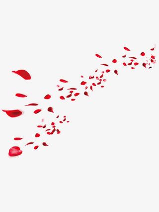 散落的花瓣免抠