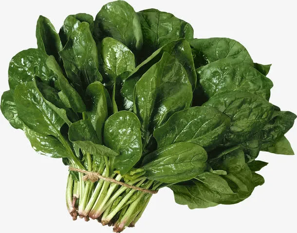 一把青菜菠菜免抠