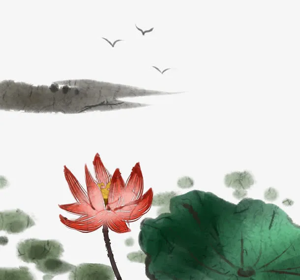手绘插图水墨中国画粉色荷花与荷免抠