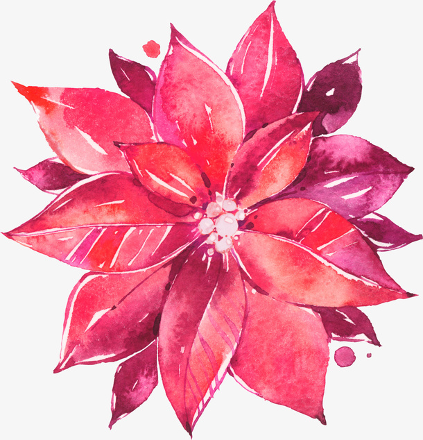 手绘卡通装饰花瓣花草装饰海报设免抠
