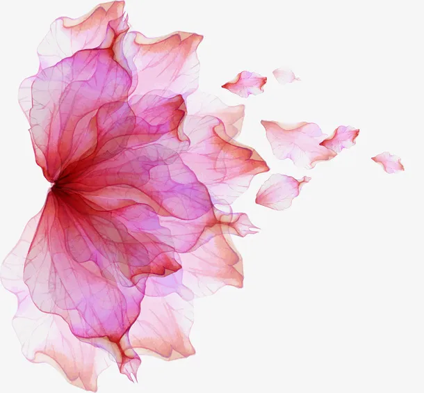 玫红色花朵效果元素免抠