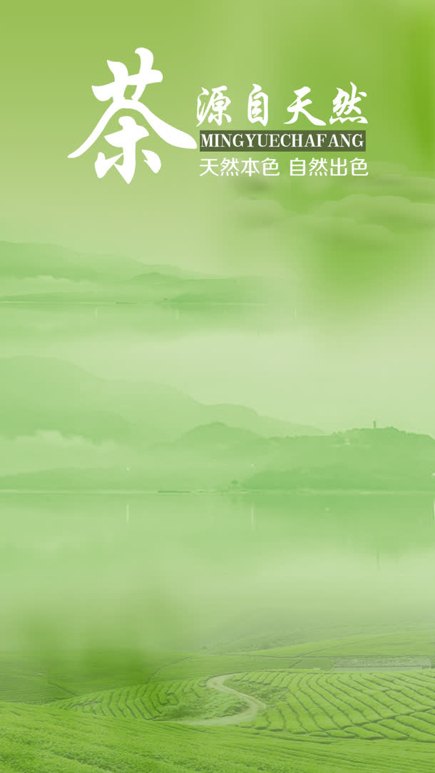 茶叶背景免抠