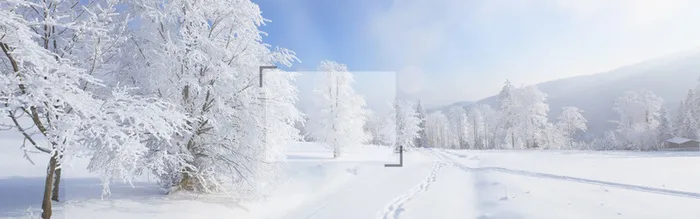 唯美冬季雪地背景高清