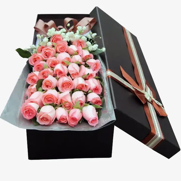 粉色玫瑰花免抠