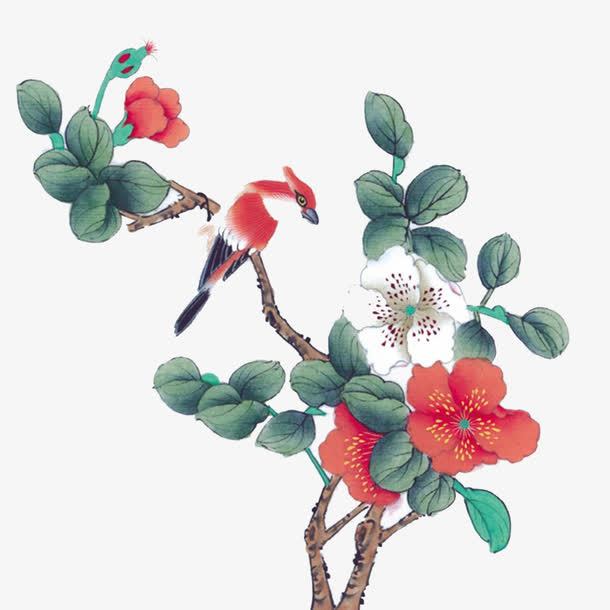花鸟图免抠