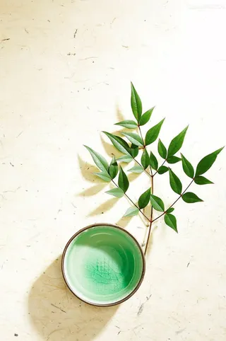 清新简约绿色植物墙壁免抠