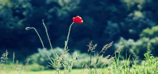 淘宝背景图高清