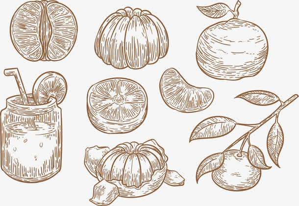 手绘素描柚子水果免抠