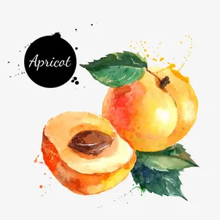 桃子的美好时光免抠